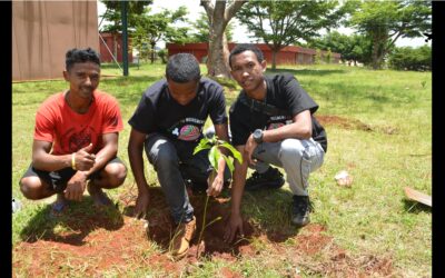MJS – Collectif des Mouvements Gen Z : mobilisation des jeunes en faveur de la protection de l’environnement